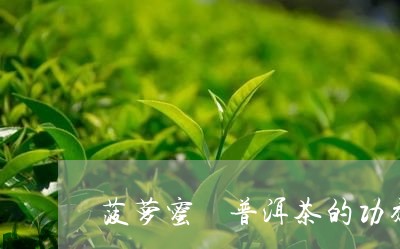 菠萝蜜 普洱茶的功效与作用/2023052820796